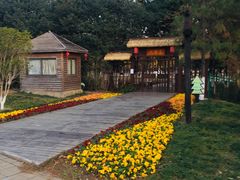 -艾溪湖湿地公园