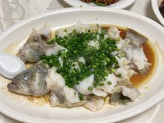 葱油淋鲈鱼-汇兴源餐馆(小北路店)