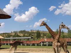 -鄂尔多斯野生动物园