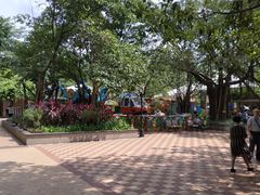 -东风公园