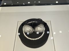 -BLACKSWAN黑天鹅(环球店)