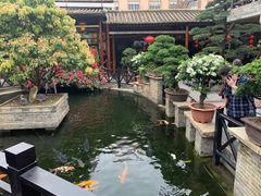 -猪肉婆私房菜(容桂总店)