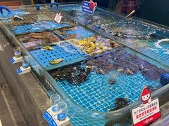 -双合园·海鲜水饺青岛菜(九水东路店)