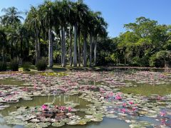 -中国科学院西双版纳热带植物园
