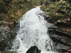 -藏龙百瀑风景区