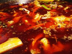 -蜀滋香鲜鱼火锅(黄金路店)