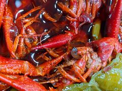 -京悦南门涮羊肉·羊蝎子火锅(田林路店)