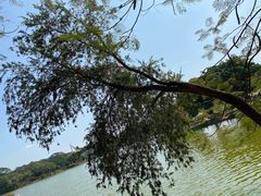 -东莞植物园