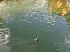 -DGE季风钓虾营地·团建·聚会