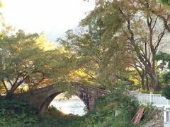 -广州市流溪河国家森林公园