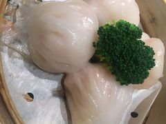 -南枝记