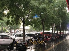 -秃鹫湾·推理大师沉浸式实景演绎推理剧场