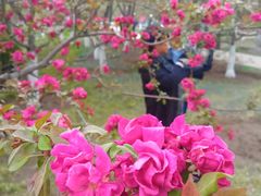 -元大都城垣遗址公园