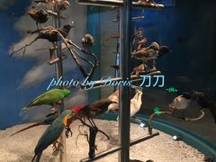 标本-吉林省自然博物馆