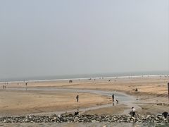 -日照海滨国家森林公园