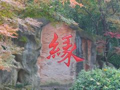 -杭州黄龙洞