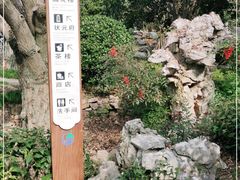 -东山雕花楼