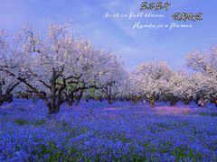 -江苏三台山国家森林公园