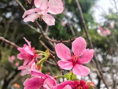 -文华公园(禅城区)