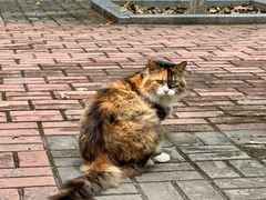 -华东政法大学(松江校区)