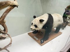 -国家自然博物馆