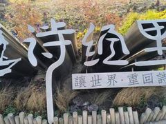 -诗经里