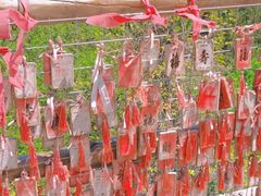-金龙寺国家森林公园