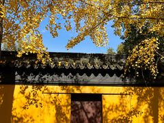-西园戒幢律寺