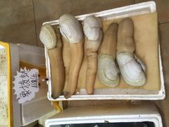-蚝专家(北滘店)