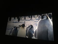 -广东科学中心科技影院