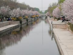 -海棠花溪(元大都城垣遗址公园)