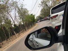 -绿堤公园