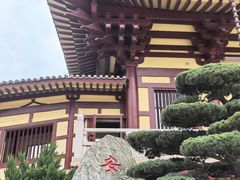 -庐山风景名胜区-东林大佛