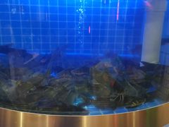 -蛙一刀·麻椒鱼火锅(金仙桥店)