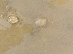 -北海银滩一号国际会议中心酒店