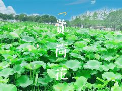 -嘉北郊野公园