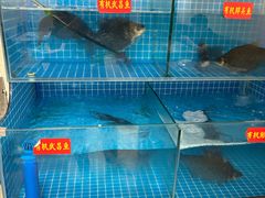 -食藕·武昌鱼(古德寺店)