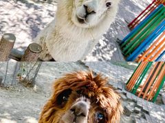 -水上乐园·欢乐世界