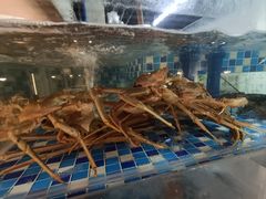 -碗中海·蒸汽海鲜·桑拿鸡(岭南天地店)