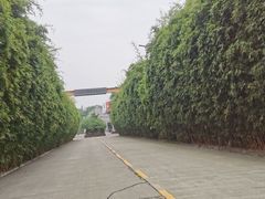 -安仁古镇
