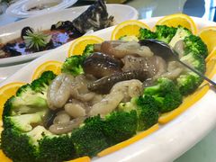 -一麦·龙岛(上海青浦店)