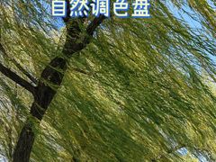-石家庄市植物园