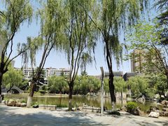 -西安市长乐公园