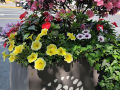 -一大会址·新天地(地铁站)