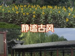 -晋祠公园