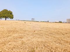 -无锡新湖铂尔曼大酒店