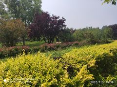 -赵州桥景区