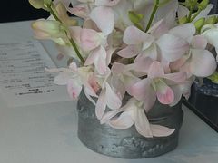 -大董(环贸iapm店)