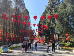 -云南民族村