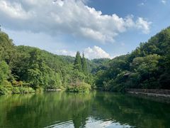 -桂林古东瀑布景区